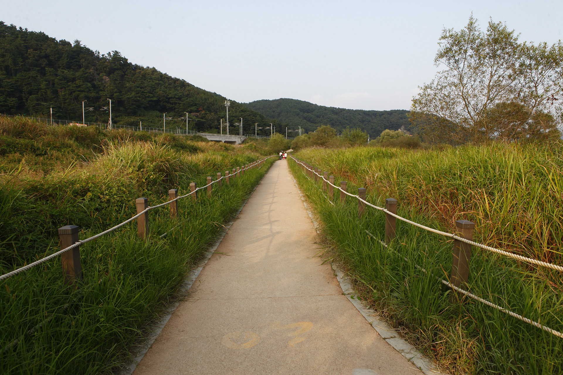 화포천
